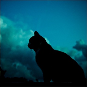 itunes pic